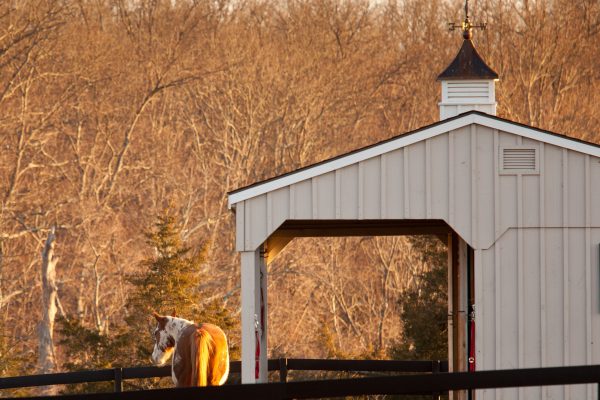 Horse barn Cupolas for Your Horse barn in PA, MD, DE, NH