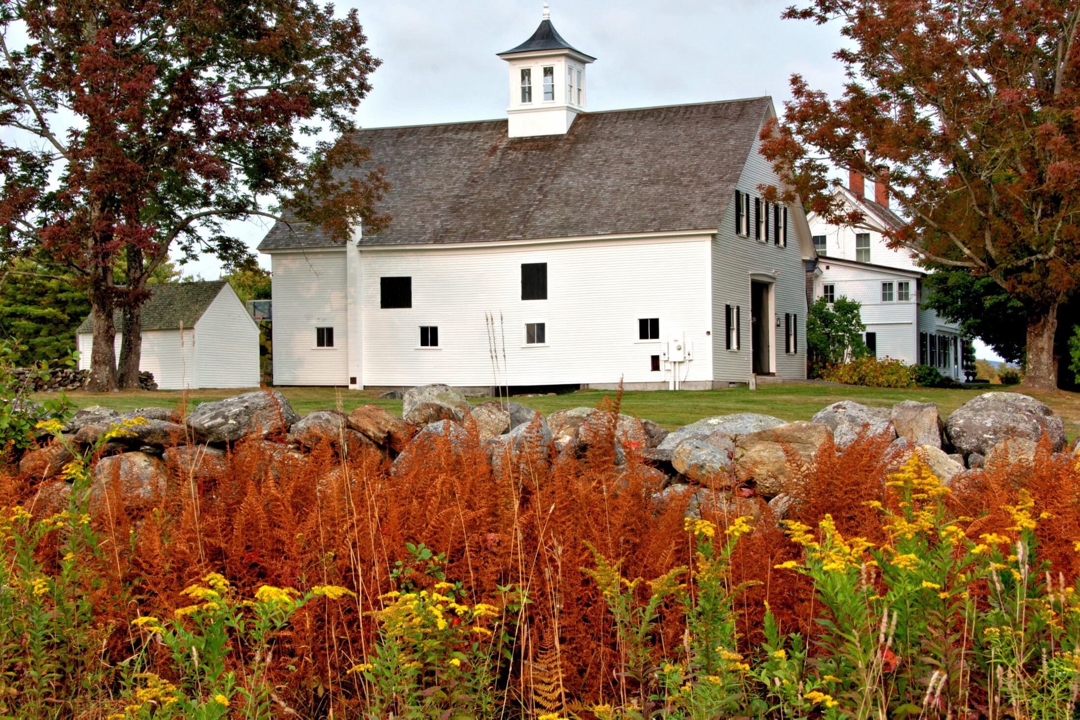 Horse farm in Jaffrey, New Hampshire Colorful New England autumn scene with vibrant bronze colored fern leaves, goldenrod, old stone wall, and white barn with cupola
